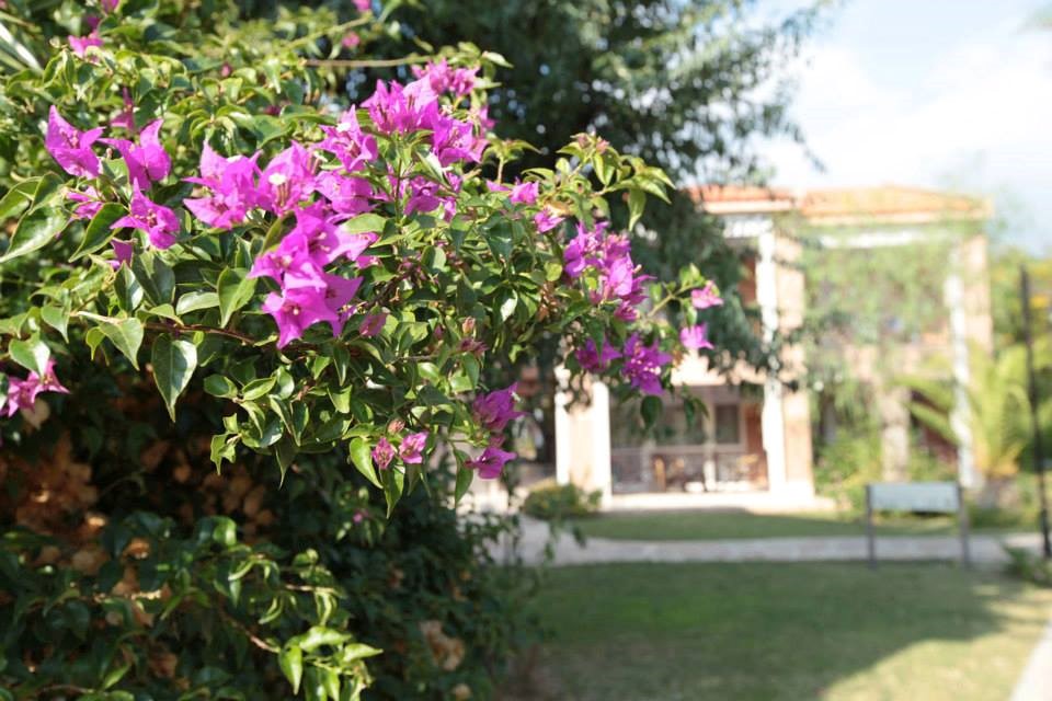 imagini hotel CLUB YALI OZDERE